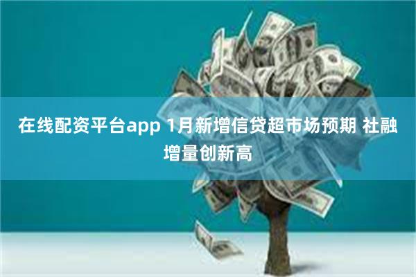 在线配资平台app 1月新增信贷超市场预期 社融增量创新高